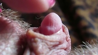 Intense Close-Up Of My Throbbing Large Clitoris During Solo Play