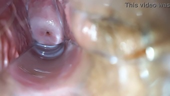 Intense Orgasmic Pleasure In A Pussy